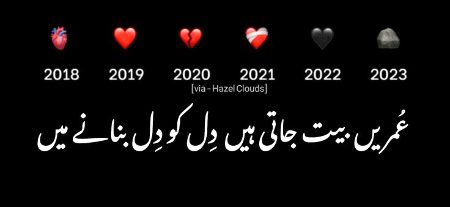 2024...👀👀...