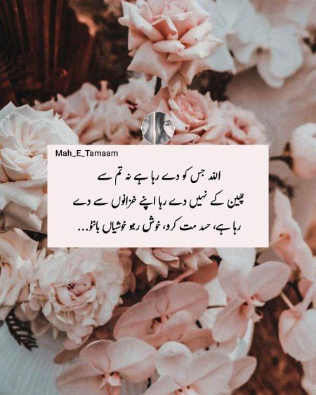 Life Advice image