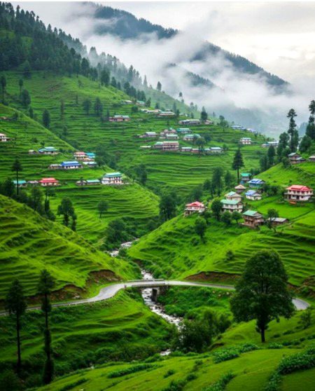 Beautiful Nature image