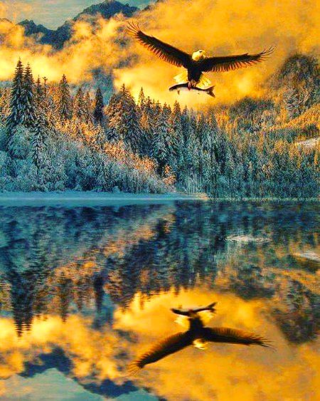 Beautiful Nature image