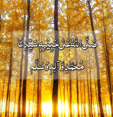 Islamic Quotes image