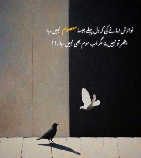 ..Reality..