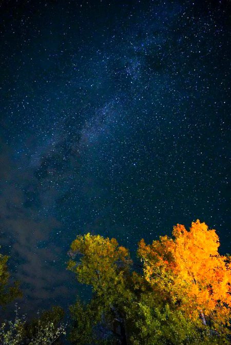 Beautiful Nature image