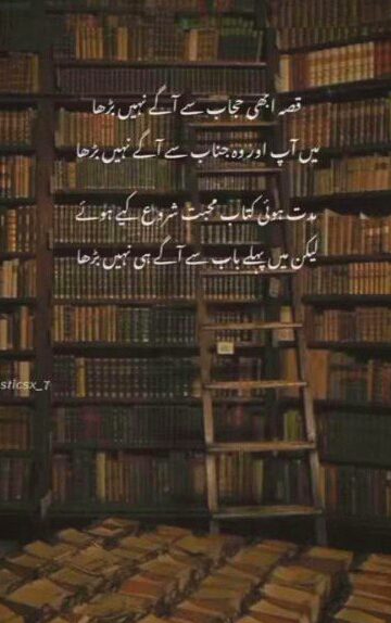 حدوں سے کہہ دو کچھ دیر ہمیں اجازت دیں٠٠٠٠ کچھ کرناھے ہمیں، اصولوں کے خلاف جا کر