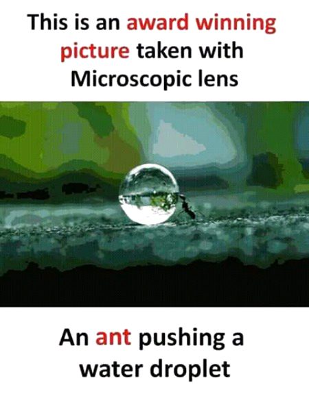 Interesting Posts image