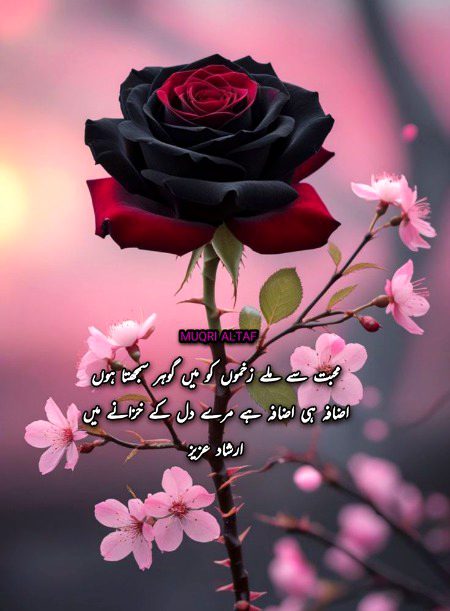 🌹 merijan-16 🌹