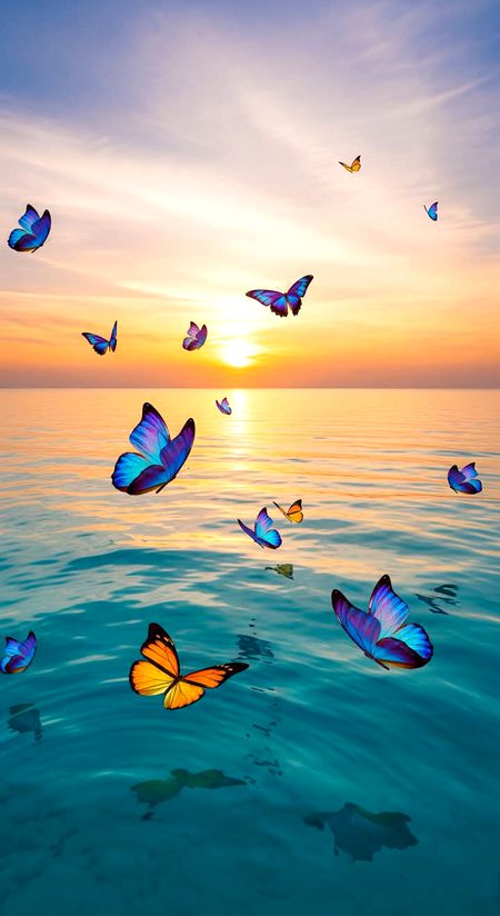 🌻 جو اللہ کو ہمسفر بنا لیتے ہیں، اُنہیں سفر کبھی خوفزدہ نہیں کرتا۔
🌻 جو اللہ سے جُڑ جاتے ہیں، اُنہیں کوئی توڑ نہیں سکتا۔
🌻 جو دعائیں اللہ کے سپرد کر دی جاتی ہیں، اُن کے مکمل ہونے کو کوئی موڑ نہیں سکتا۔
•||🫀||•