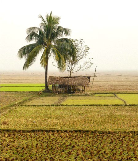 Beautiful Nature image