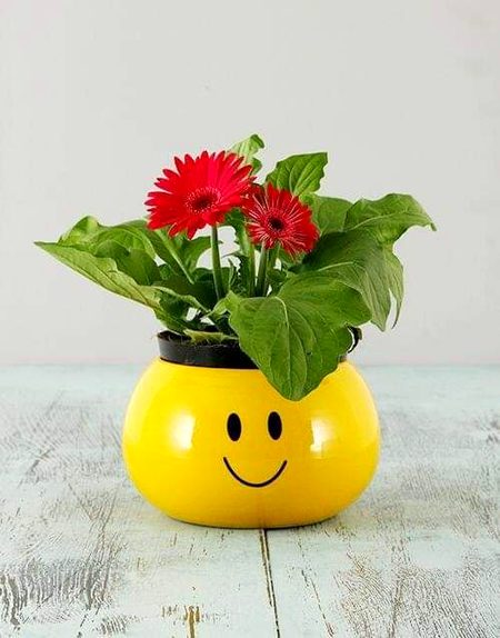 نہ کر نصیب سے اتنا گلہ اے انسان
❤️جب خدا راضی ہوتا ہے تو ہر چیز مل جاتی