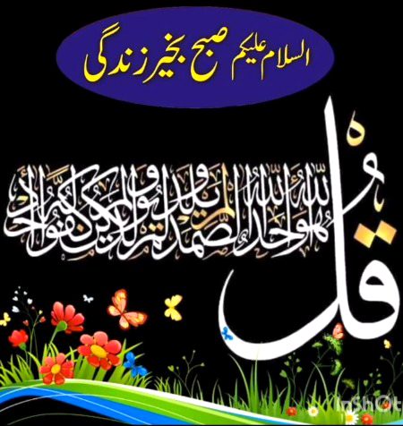 یہ زمانہ سیرت کانہیں صورت کاہے!
یہاں خوبصورت ہاتھ جلدپیلےہوجاتےہیں اور پاکیزہ آنکھیں پَردوں کےپیچھے روتی ہیں....
تلخ حقیقت
🍁