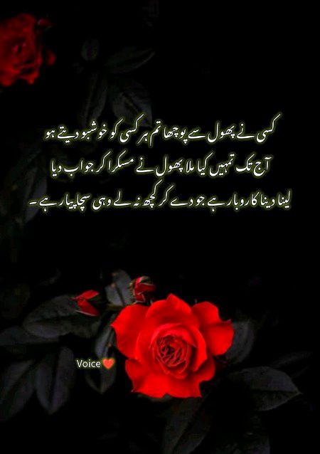 Romantic Poetry image