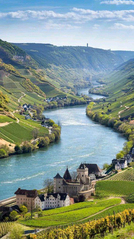 Beautiful Nature image