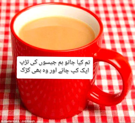 Attitude Poetry image