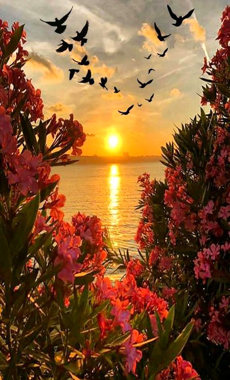 Beautiful Nature image