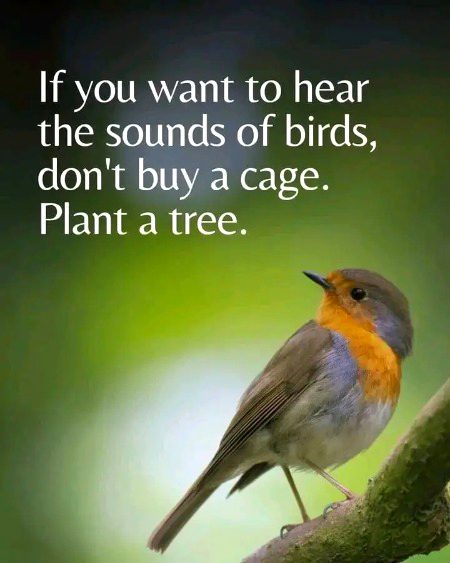 Absolutely