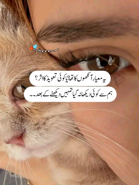 Romantic Poetry image