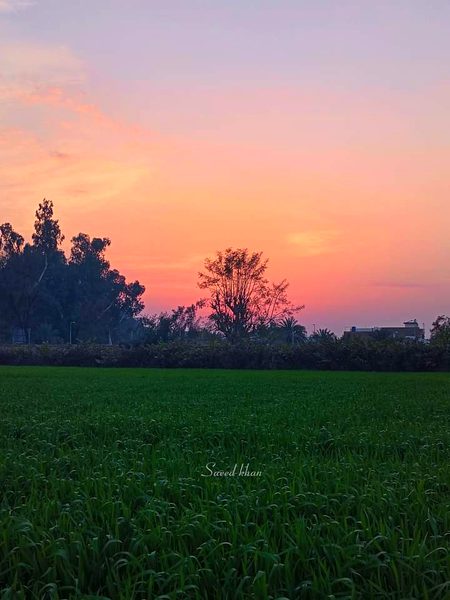 Beautiful Nature image