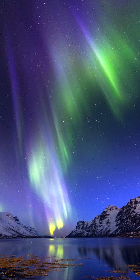 Beautiful Nature image