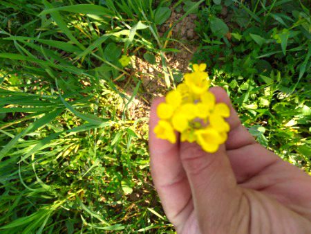 Ya mery friend ny mujy dya thanks again