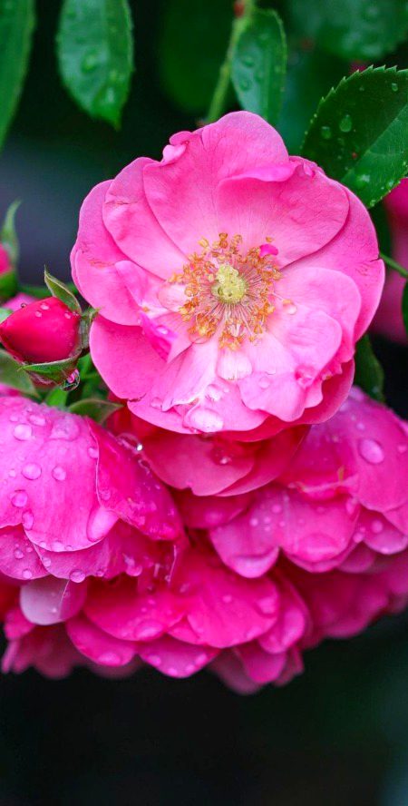 Beautiful Nature image