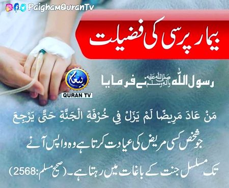 Bmjggbj bgfbnh ngfnk