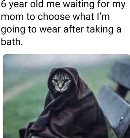 Memes & Satire image