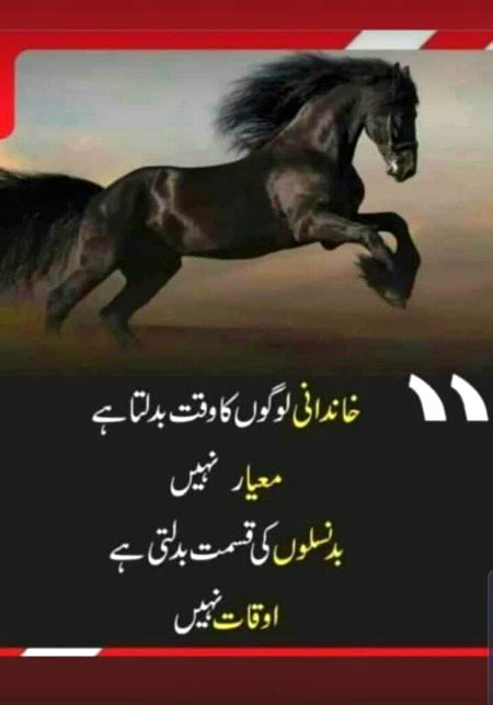 Attitude Quotes image