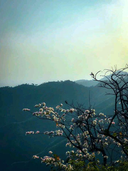 Beautiful Nature image