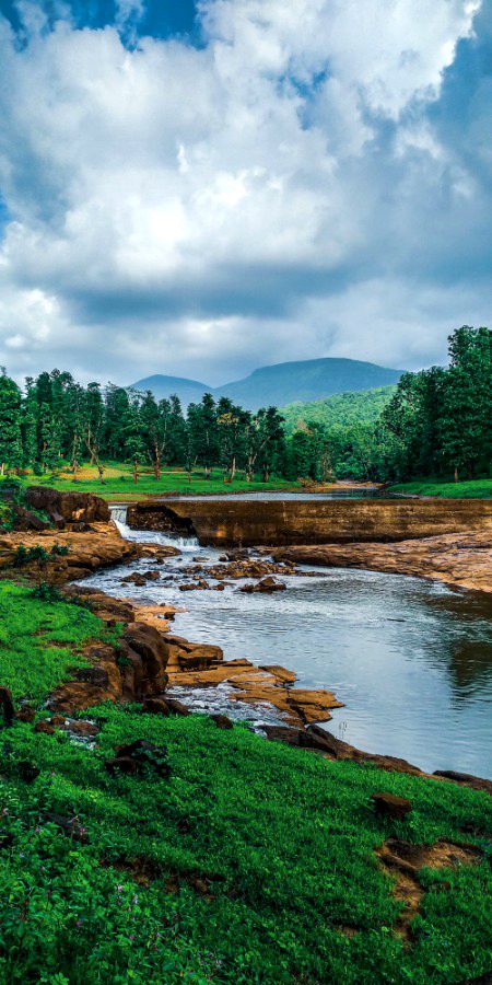 Beautiful Nature image