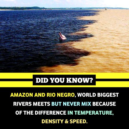 Interesting Posts image