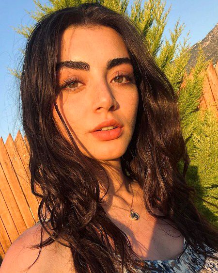 Turkish Celebs image