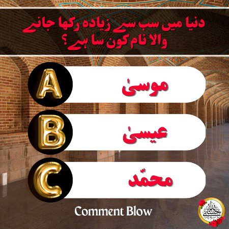 Knowledge Test image