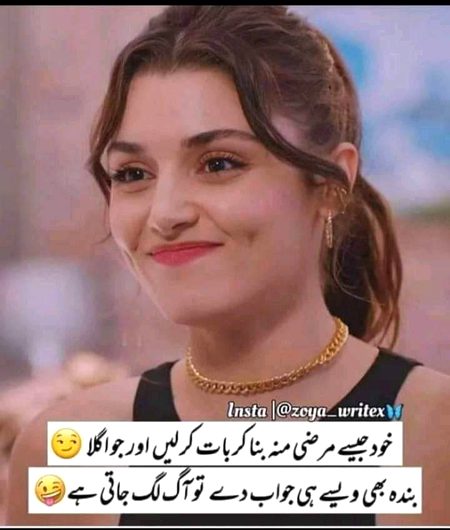 Memes & Satire image