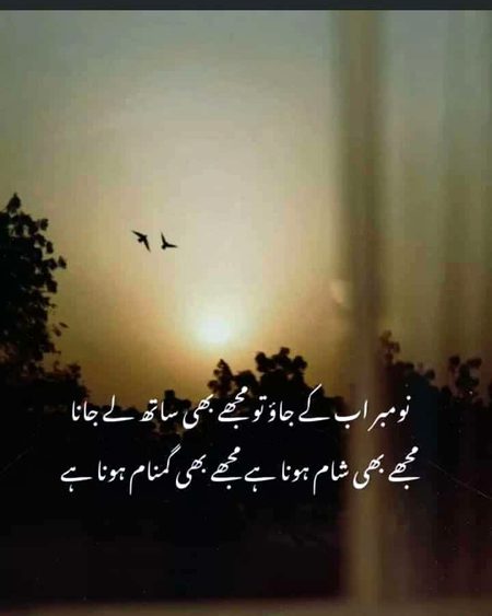 Sad Poetry image