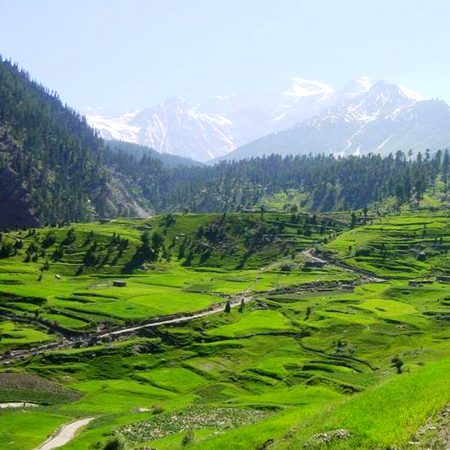 Beautiful Nature image