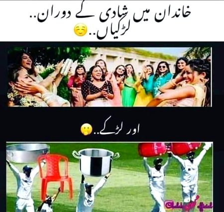 Memes & Satire image