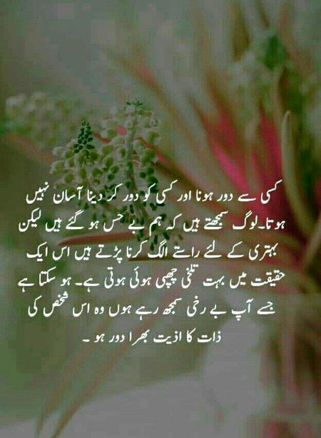 Absolutely right
