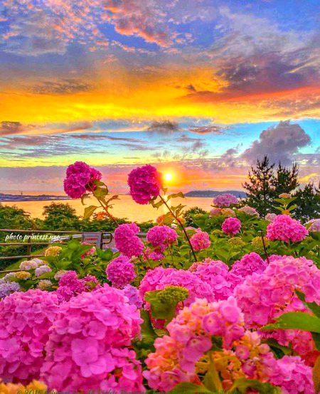 Beautiful Nature image