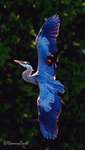 Beautiful Nature image