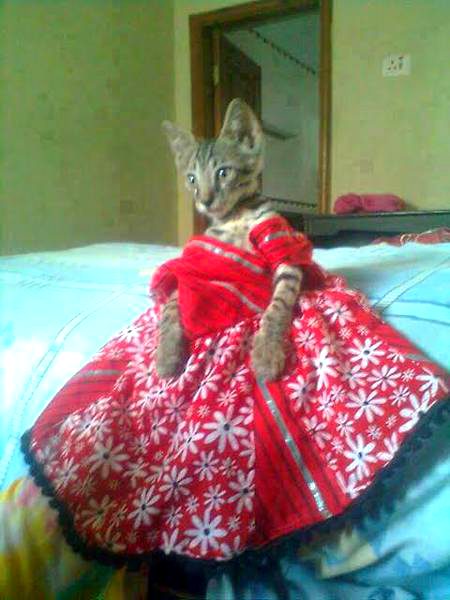 Beautiful Nature image