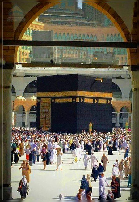 Beautiful Structures image