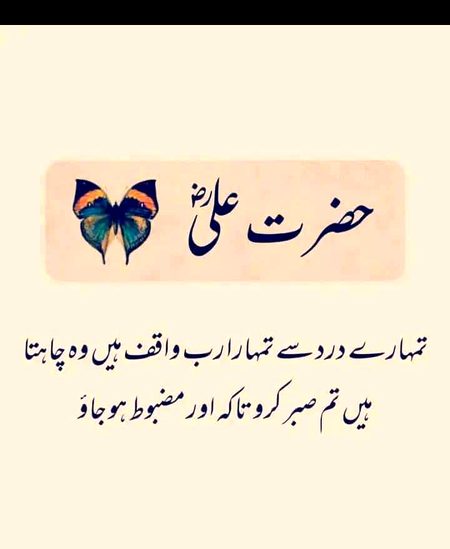 Islamic Quotes image
