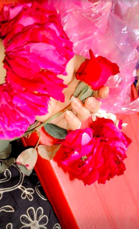 Beautiful Nature image