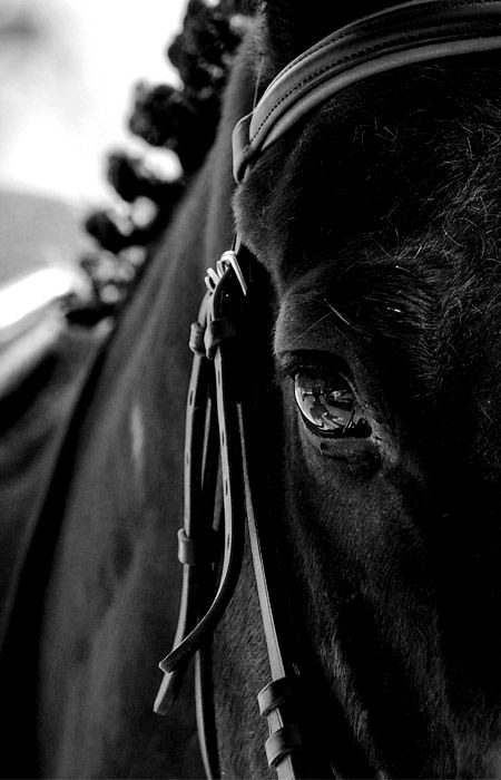 Beautiful Nature image