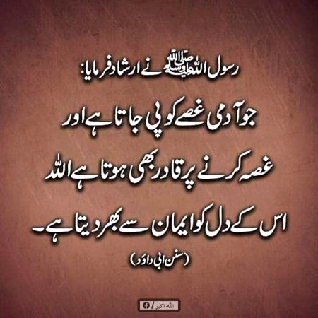 Islamic Quotes image