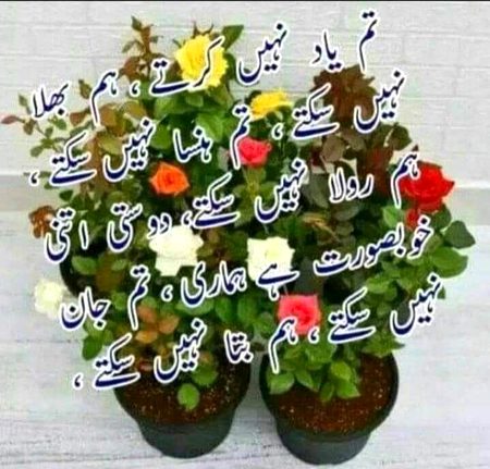 .q3 🌷🏵 
  How🌺🌷 r🌷🌻 u 🌼🌻all🏵💮🌷
.. .g2.g2 🌷🏵Rainny ⚘night🌷.g2.g2