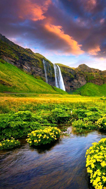 Beautiful Nature image