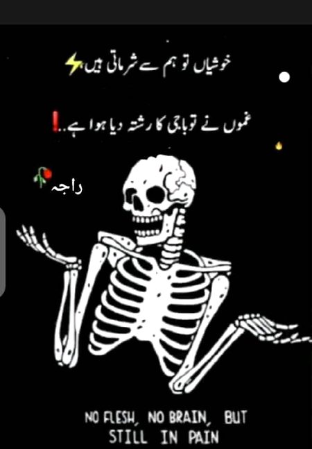 Memes & Satire image