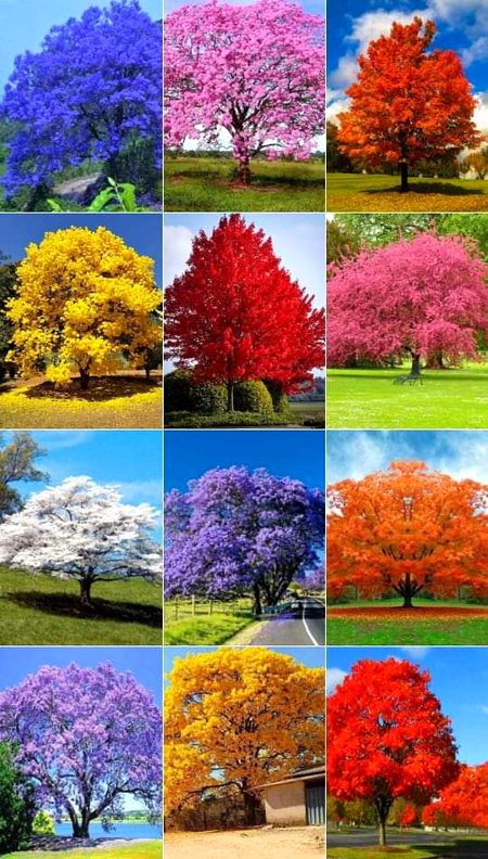Beautiful Nature image