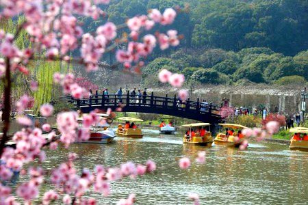 Beautiful Nature image